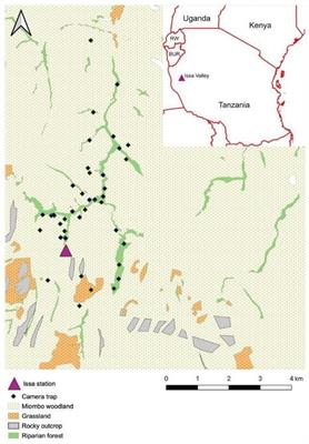 Ecological Drivers of Habitat Use by Meso Mammals in a Miombo Ecosystem in the Issa Valley, Tanzania